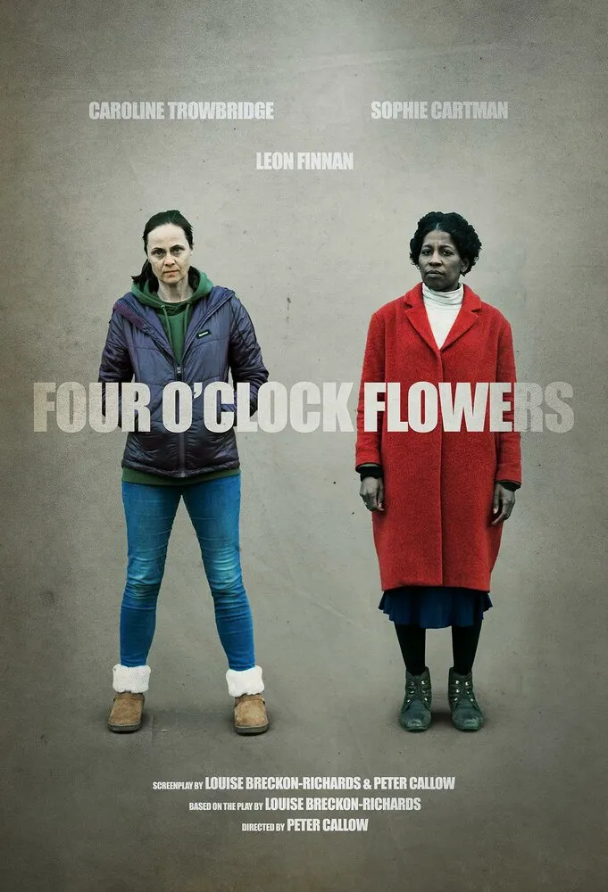 Four O'Clock Flowers Four O'Clock Flowers